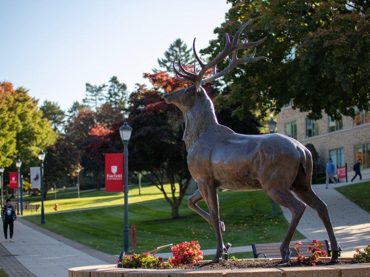 Five Years After Implementation, Social Justice Courses Meet&nbsp;Demand